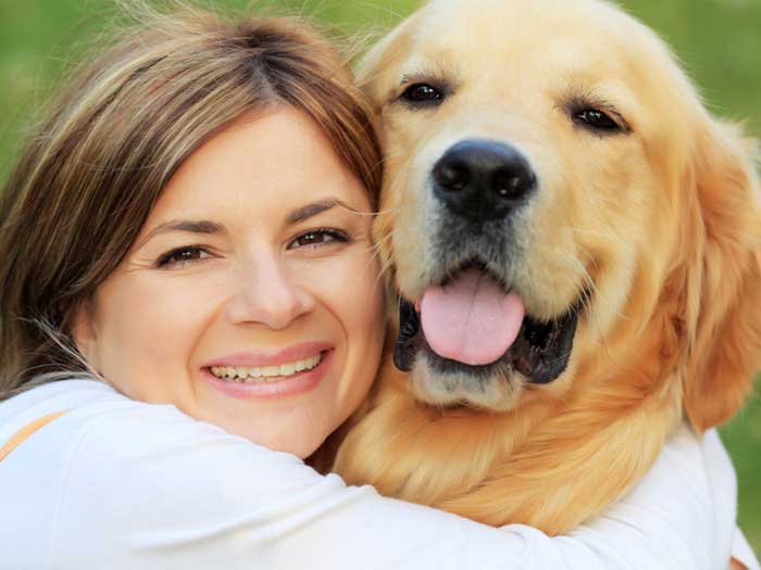Bark Busters Home Dog Training