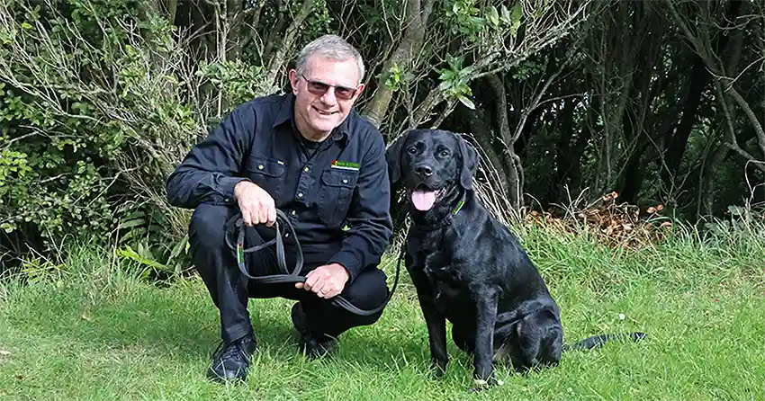 Dog Training Wellington