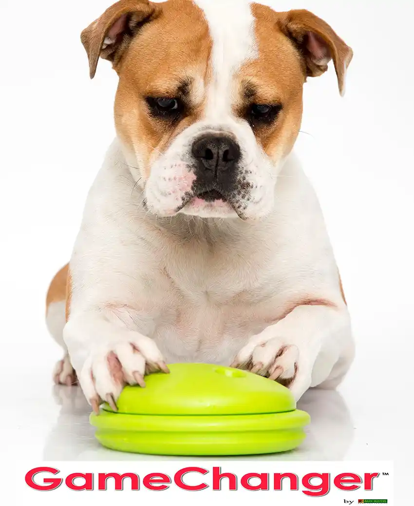 Bark Busters Game Changer
