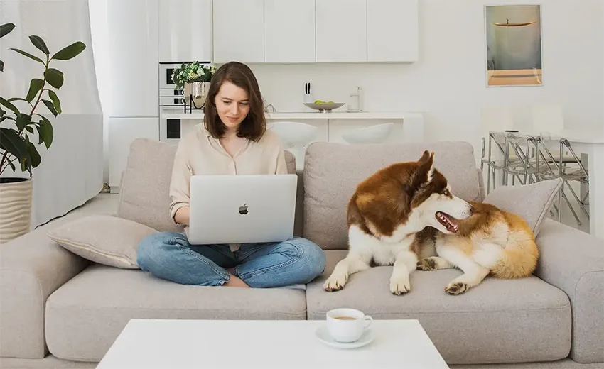 Dog training Auckland South/East