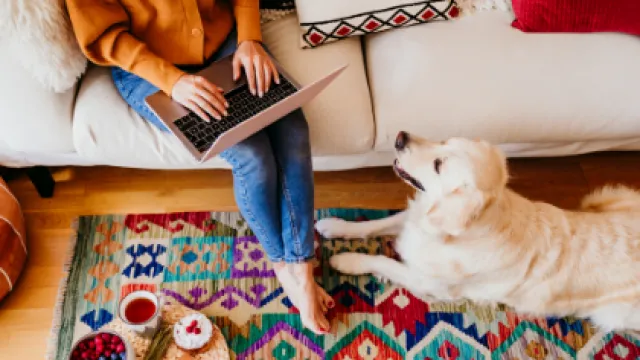 Working From Home With Your Dog?