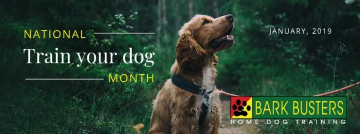 National Train Your Dog Month